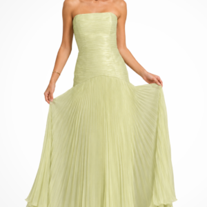 Celeste | Women’s Strapless Pleated Drop Waist Maxi Dress